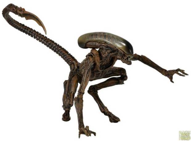 Alien (Photo from DailyDead.com)