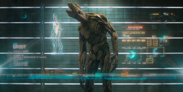 Groot