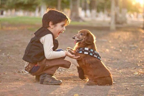 han-and-chewie-adorable cosplay