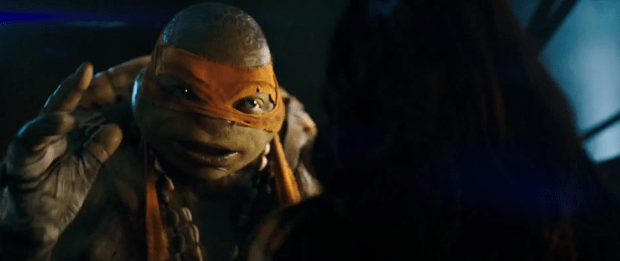 Teenage Mutant Ninja Turtles (5)