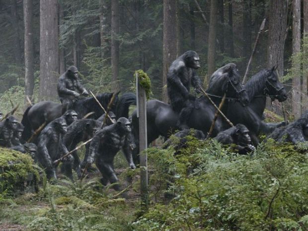 Dawn Of The Planet Of The Apes (2)