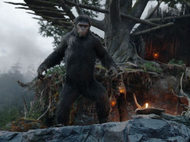 Dawn Of The Planet Of The Apes (6)
