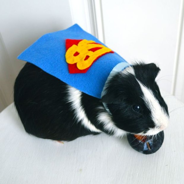 il_fullxfull.510834728_aml9