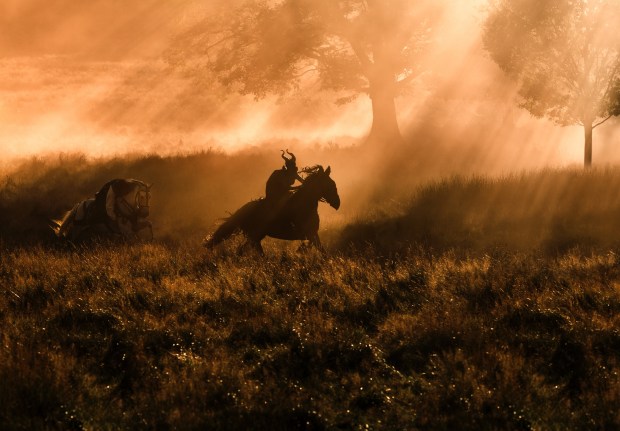 Maleficent_Stills (4)