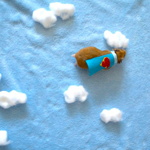 superman hamster
