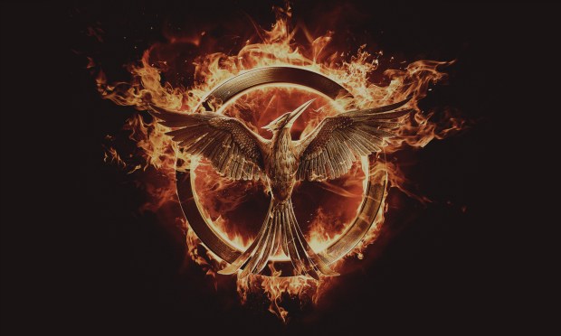 The Hunger Games_Mockingjay, Part 1_banner