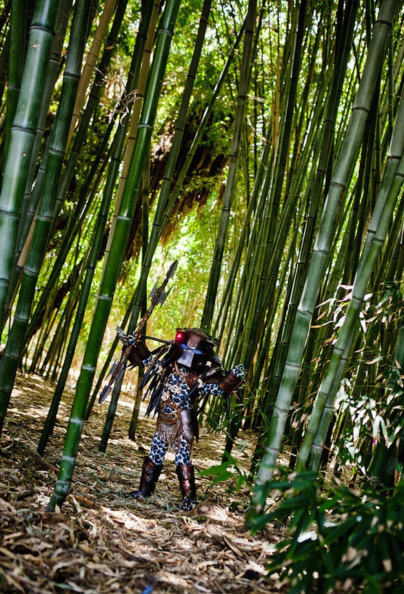 Baby Predator_Albert Lien (5)