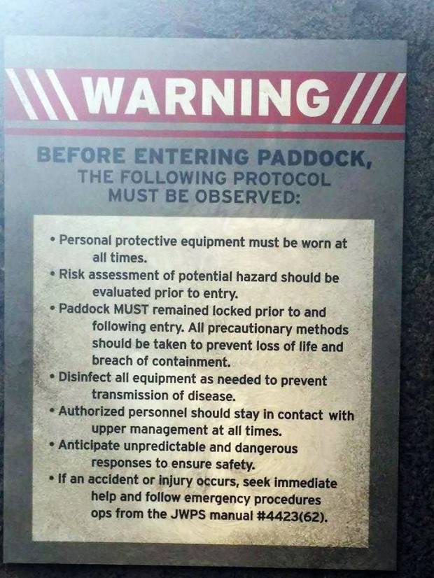 Jurassic World_Diabolus-Rex_Paddock2