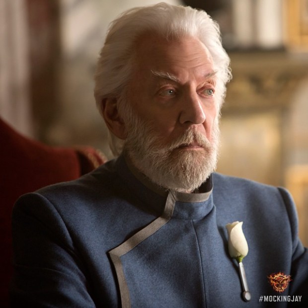 The Hunger Games_Mockingjay_Part 1_Character Still_2