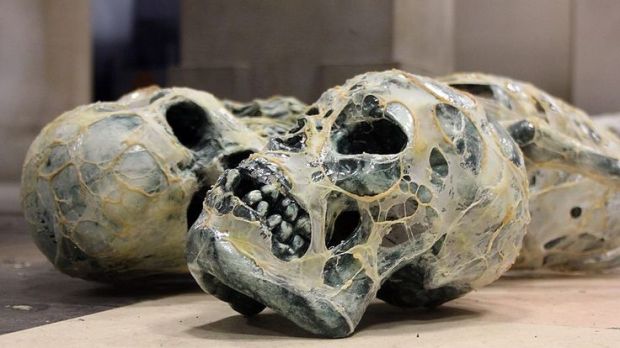 Someone’s lost their head over news of Danny’s death.