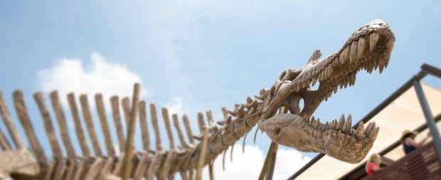 Jurassic World_Still