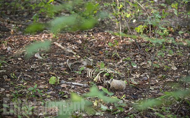 (Image Credit: Gene Page/AMC)