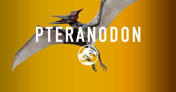 jurassic-world-pteranodon