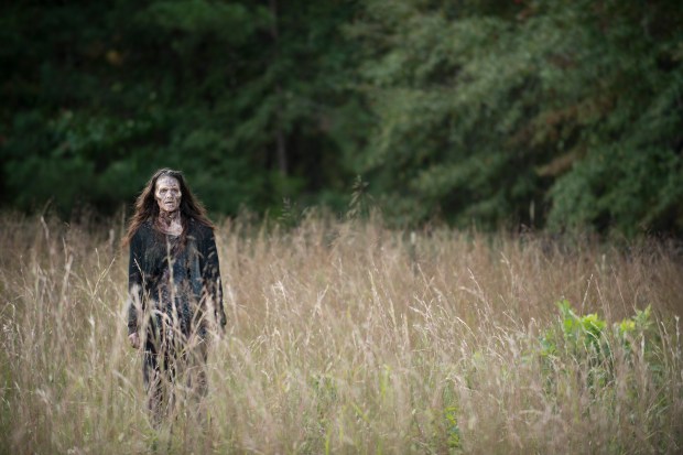 The Walking Dead _ Season 5, Episode 13 - Photo Credit: Gene Page/AMC
