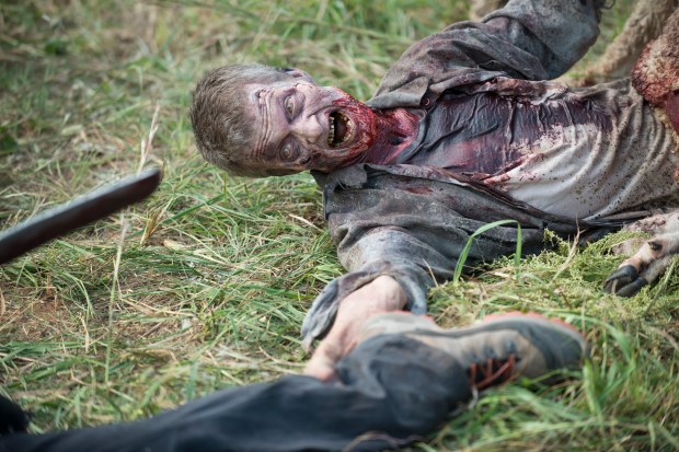 The Walking Dead _ Season 5, Episode 13 - Photo Credit: Gene Page/AMC