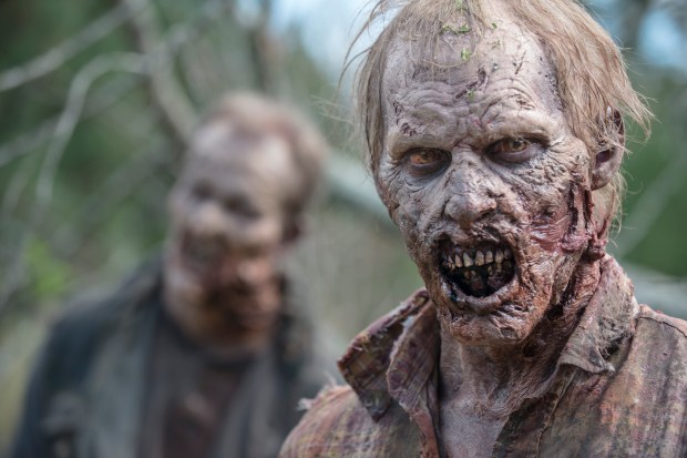 The Walking Dead _ Season 5, Episode 13 - Photo Credit: Gene Page/AMC