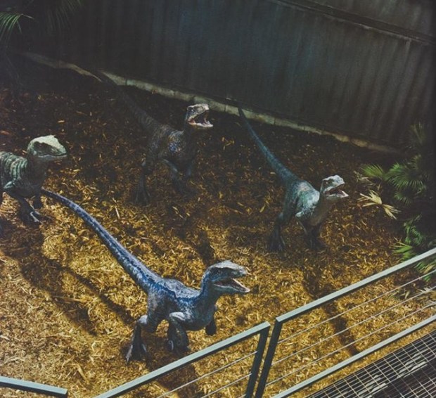 Jurassic World_Empire Magazine (10)