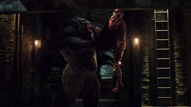 The Flash -- "Grodd Lives" -- Image FLA121_SG_049.020.001 -- Pictured (L-R): Grodd and Grant Gustin as Barry Allen / The Flash -- Photo: The CW -- ÃÂ© 2015 The CW Network, LLC. All rights reserved.