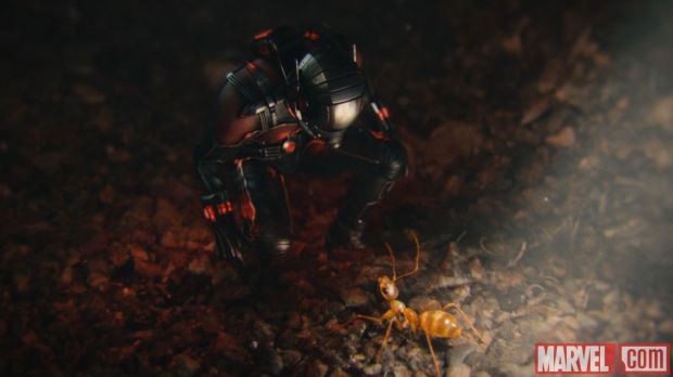 Ant-Man_Still (10)