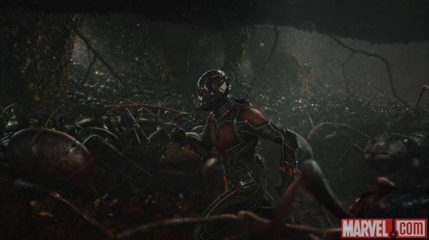 Ant-Man_Still (11)