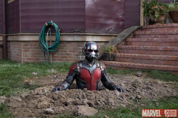 Ant-Man_Still (5)