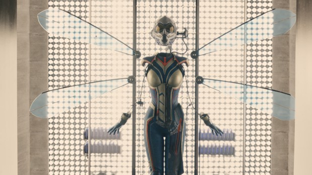 Ant-Man_Wasp Suit