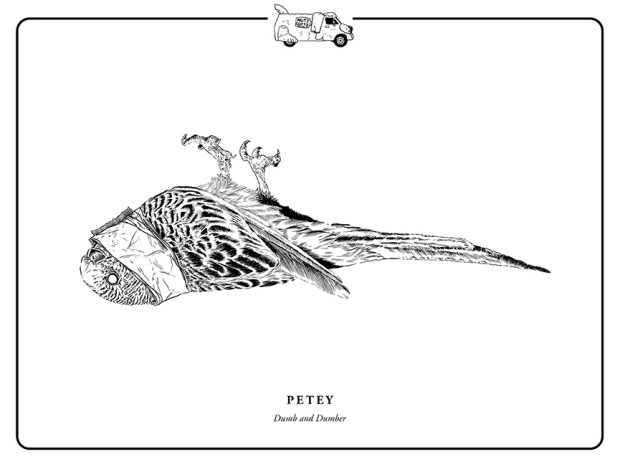 Gallery1988_Evanimal_Dumb and Dumber