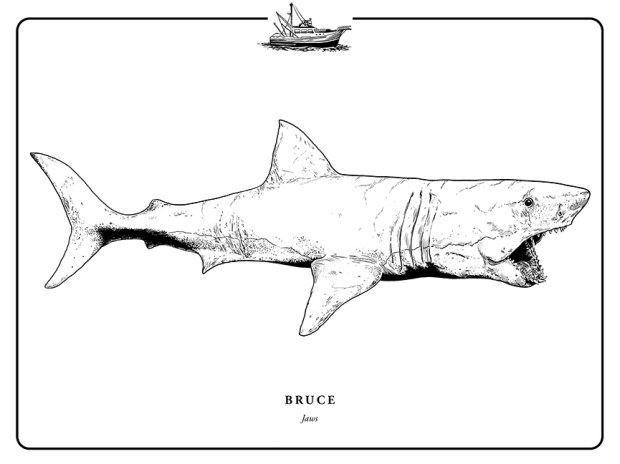 Gallery1988_Evanimal_Jaws