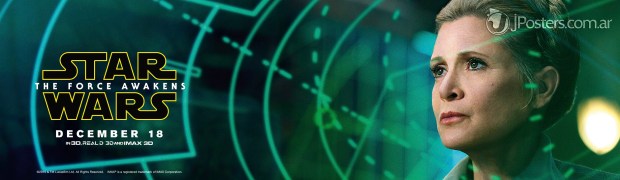 Star Wars_The Force Awakens_Leia Banner