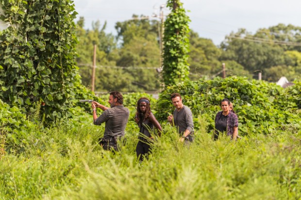 Andrew Lincoln as Rick Grimes, Danai Gurira as Michonne, Ross Marquand as Aaron, Alanna Masterson as Tara Chambler - The Walking Dead _ Season 7, Episode 9 - Photo Credit: Gene Page/AMC