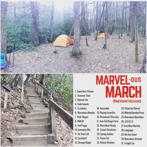 33728564332_918ea59bdb_o