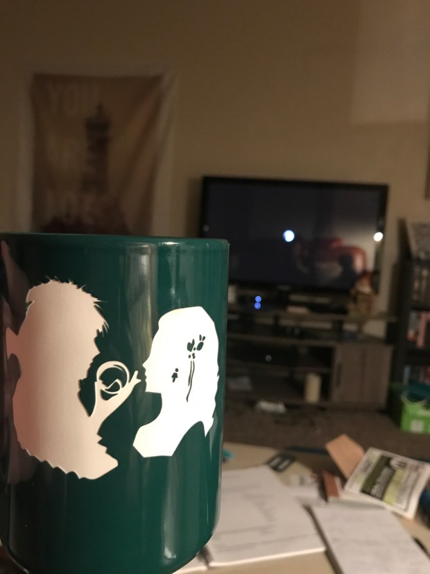 48617203178_b5fed5f92e_o